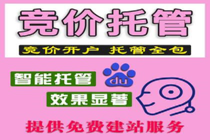 案例解析：竞价代运营如何提高广告投放效果